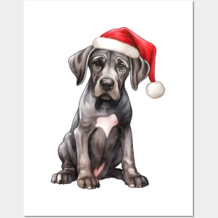 Great Dane Dog in Santa Hat Posters and Art